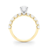Asscher Cut Center Large Pavé Engagement Ring - Diamonds By Rothschild