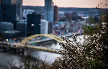 Downtown Pittsburgh Skyline in Fall