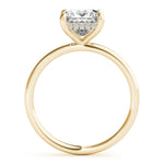 Princess Cut Hidden Halo Engagement Ring - Diamonds By Rothschild