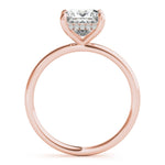 Princess Cut Hidden Halo Engagement Ring - Diamonds By Rothschild