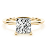 Princess Cut Hidden Halo Engagement Ring - Diamonds By Rothschild
