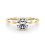 Hidden Halo Round Center Engagement Ring - Diamonds By Rothschild