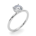 Hidden Halo Round Center Engagement Ring - Diamonds By Rothschild