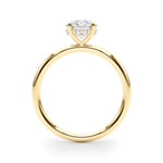 Hidden Halo Round Center Engagement Ring - Diamonds By Rothschild