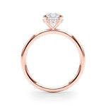 Hidden Halo Round Center Engagement Ring - Diamonds By Rothschild