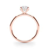 Hidden Halo Round Center Engagement Ring - Diamonds By Rothschild
