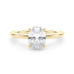 Oval Center Hidden Halo Engagement Ring - Diamonds By Rothschild