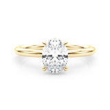 Oval Center Hidden Halo Engagement Ring - Diamonds By Rothschild