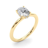 Oval Center Hidden Halo Engagement Ring - Diamonds By Rothschild