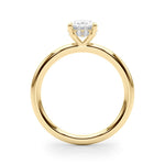 Oval Center Hidden Halo Engagement Ring - Diamonds By Rothschild