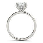 Princess Cut Hidden Halo Engagement Ring - Diamonds By Rothschild