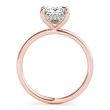 Princess Cut Hidden Halo Engagement Ring - Diamonds By Rothschild