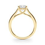 Round Solitaire Engagement Ring with Cathedral Setting - Diamonds By Rothschild