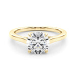 Round Solitaire Engagement Ring with Cathedral Setting - Diamonds By Rothschild