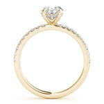 Single Row Oval Center Engagement Ring - Diamonds By Rothschild